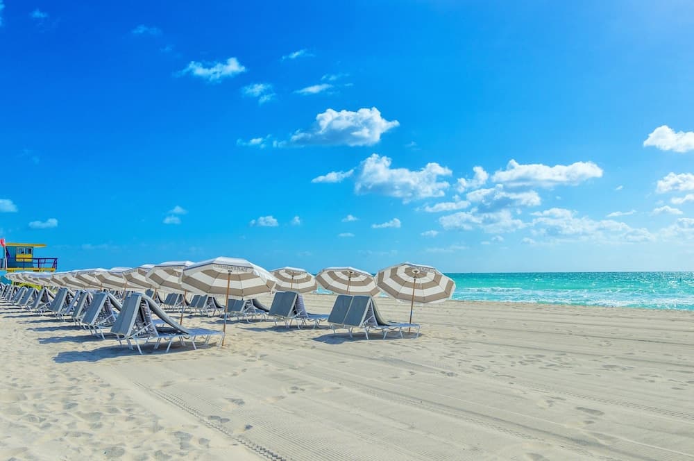 Cavalier Hotel South Beach 1